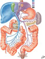 Hepatic Portal Vein Tributaries: Portacaval Anastomoses