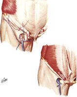 Inguinal and Femoral Regions