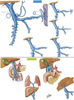 Variations and Anomalies of Hepatic Portal Vein
