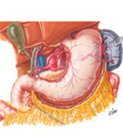 Arteries of Stomach, Liver, and Spleen