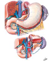 Veins of Stomach, Duodenum, Pancreas, and Spleen