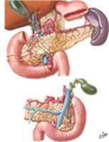 Lymph Vessels and Nodes of Pancreas