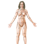 Surface Anatomy: Regions (Anterior View of Female)