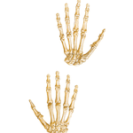 Bones of Wrist and Hand