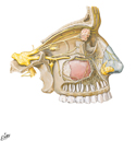 Ophthalmic and Maxillary Nerves