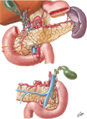 Lymph Vessels and Lymph Nodes of Pancreas