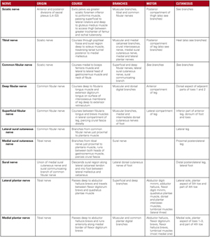 Table 8-4: Nerves of Lumbosacral Plexus 