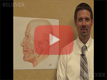Plate Discussion Video:  Cranial Nerve VII with Todd M. Hoagland