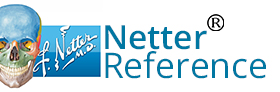 logo of Netter skull painting and Netter signature with registered trademark Netter Reference