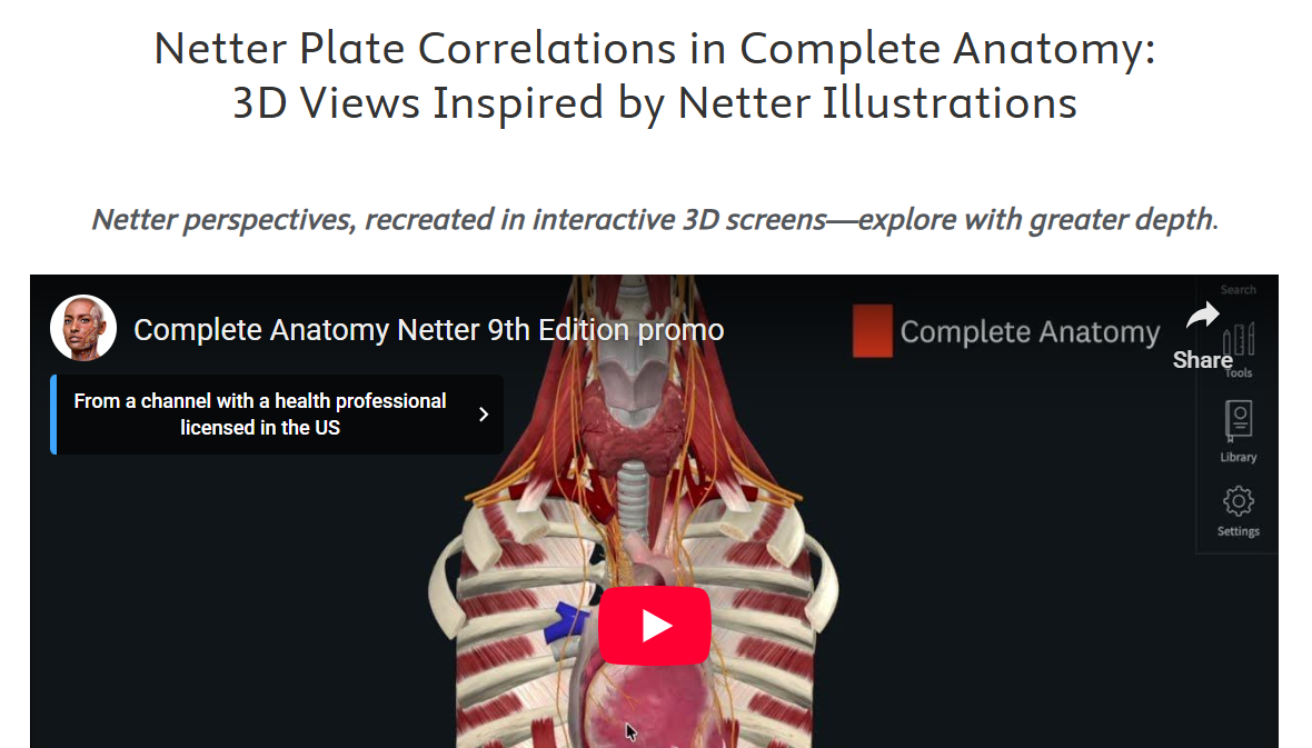 3D Correlated Netter Screens in Complete Anatomy