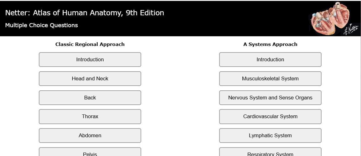 Student-Level Multiple-Choice questions