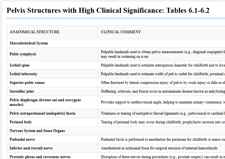 Pelvis Structures with High Clinical Significance: Tables 6.1-6.2