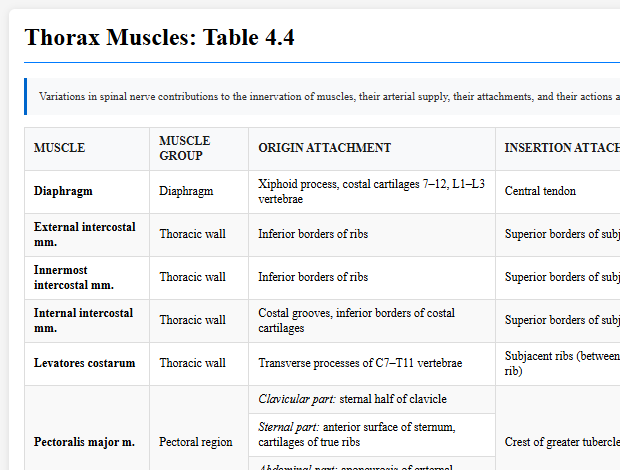Thorax Muscles: Table 4.4