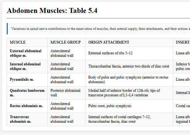 Abdomen Muscles: Table 5.4