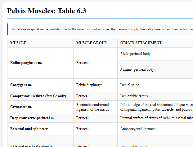 Pelvis Muscles: Table 6.3