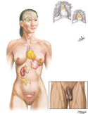 Endocrine System: Overview