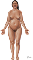 Body Parts: Anterior View