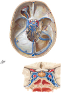 Dural Venous Sinuses: Cranial Base