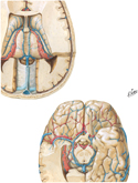 Deep Cerebral Veins