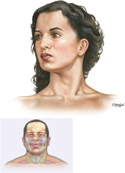 Head and Neck: Surface Anatomy