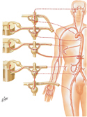 Innervation of Blood Vessels: Schema