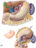 Stomach: Lymphatic Vessels and Lymph Nodes