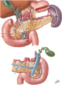 Pancreas: Lymphatic Vessels and Lymph Nodes