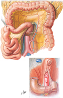 Mesenteries and Suspensory Muscle of Duodenum