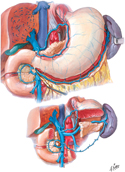 Veins of Stomach, Duodenum, Pancreas, and Spleen
