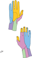 Wrist and Hand: Cutaneous Innervation