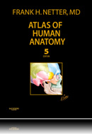 Atlas of Human Anatomy Professional Edition 5th Edition