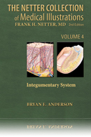 The Netter Collection of Medical Illustrations Integumentary System 2nd Edition