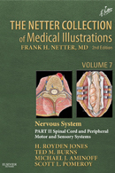 The Netter Collection of Medical Illustrations Nervous System Part II Spinal Cord and Peripheral Nervous System Second edition 2nd Edition