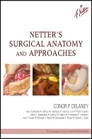 Delaney: Netterãs Surgical Anatomy and Approaches