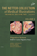 The Netter Collection of Medical Illustrations Digestive System Part II The Lower Digestive Tract 2nd Edition