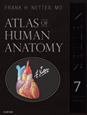 Netter: Netter’s Atlas of Human Anatomy 7th Edition