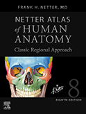 Netter: Netter’s Atlas of Human Anatomy 8th Edition
