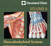 Iannotti & Parker: Musculoskeletal System - Upper Limb